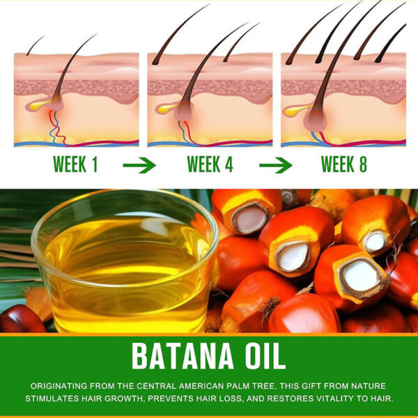 Batana Oil 2-in-1 Scalp Scrub & Shampoo | Nourishing & Repairing Formula | 100% Natural Organic Oil for Hair Care, with Deep Cleansing Effect