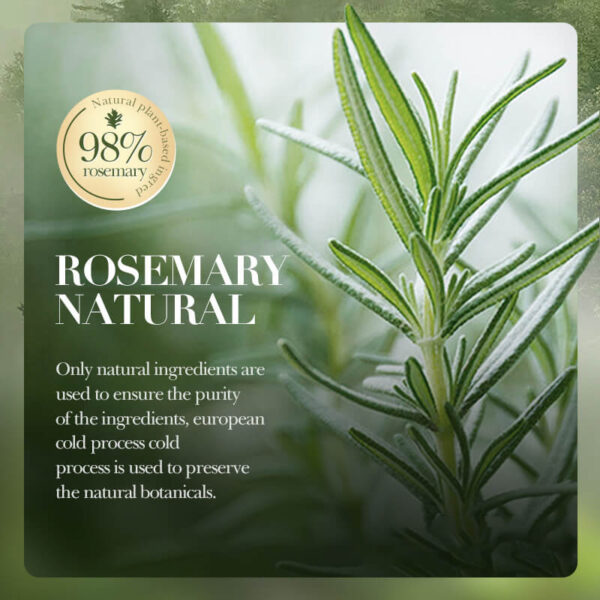 SADOER Volumizing Rosemary Shampoo | Oil-Control & Fluffy 500ml | Anti-Dandruff, Anti-Itch, Soothing Scalp Shampoo with Natural Ingredients