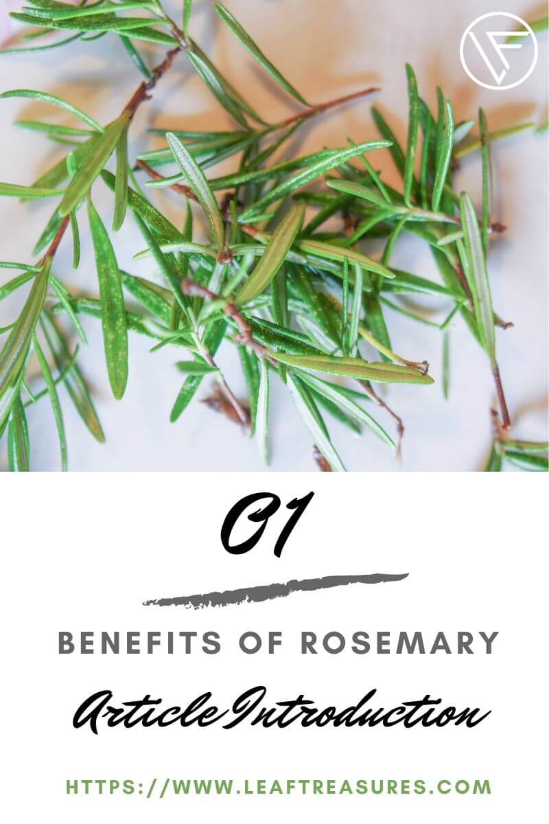 benefits of rosemary