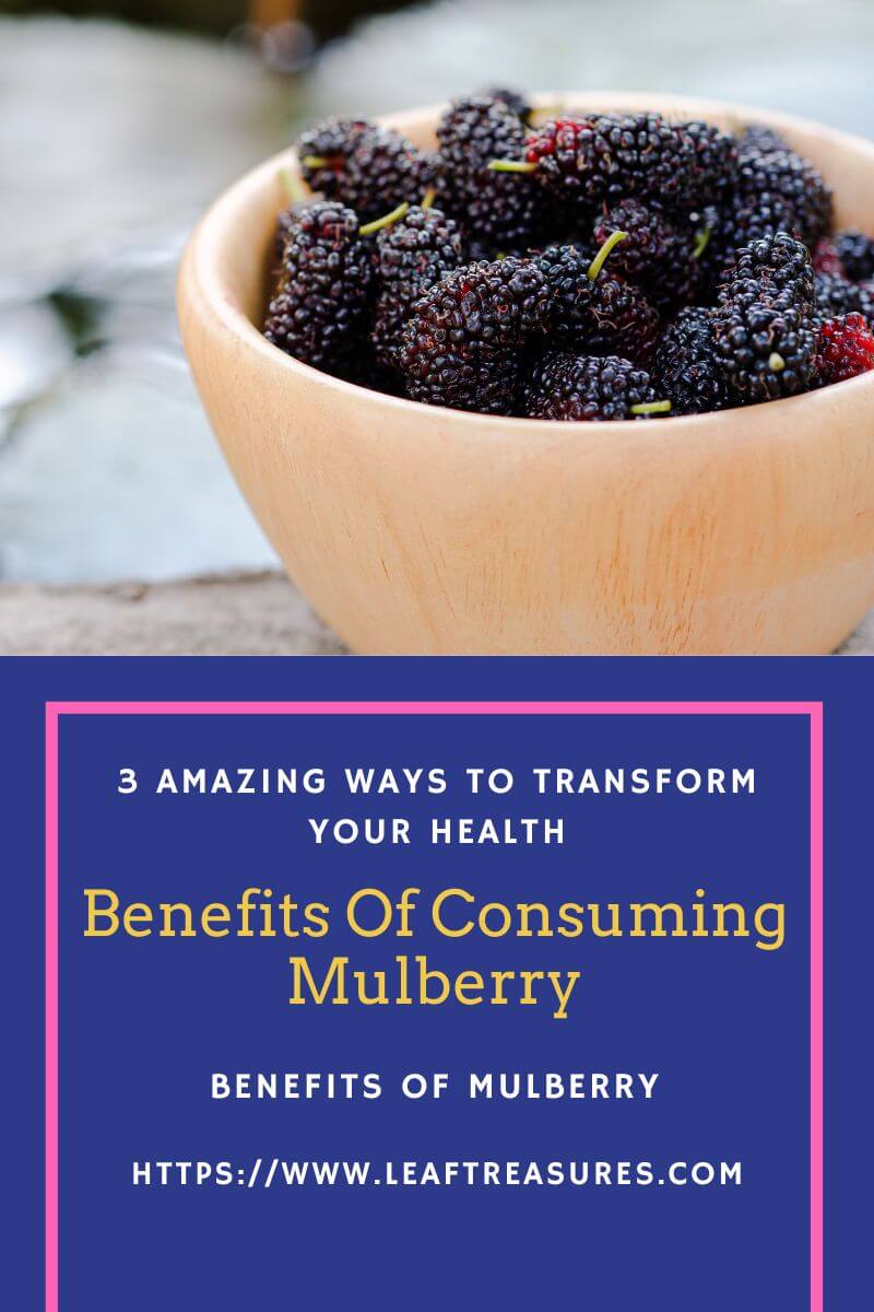 benefits of consuming mulberry