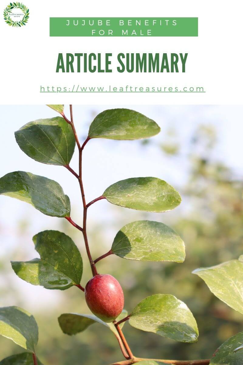 Jujube Benefits for Male