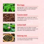 Burn Tummy Tea with Moringa - Image 4