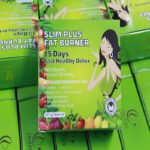 Slim Plus Fat Burner - Image 3